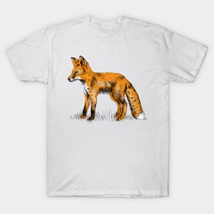 Fox Print T-Shirt